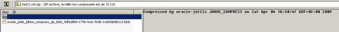 JDBMS_COMPRESS : Reading auto-generated comments on zipped BLOB in WinRAR (3/6)