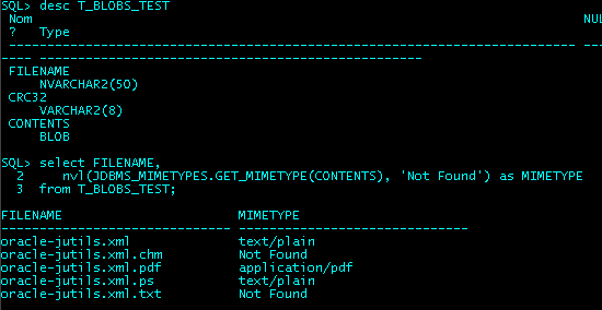 JDBMS_MIMETYPES : Testing JDBMS_MIMETYPES and showing the test table